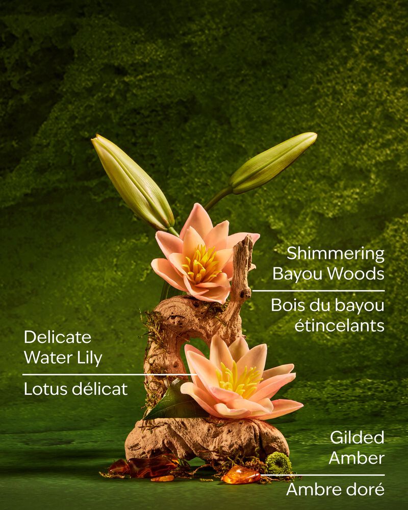 Tiana Body Wash Body Wash