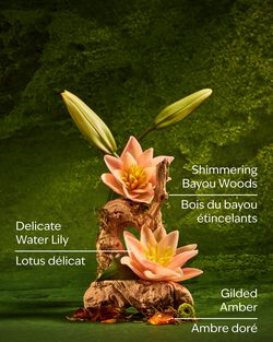 Tiana Body Wash image number null