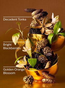 Touch of Gold Concentrated Room Spray