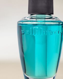 White Gardenia Wallflowers Fragrance Refill image number null