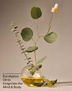 Eucalyptus Body Wash & Foam Bath