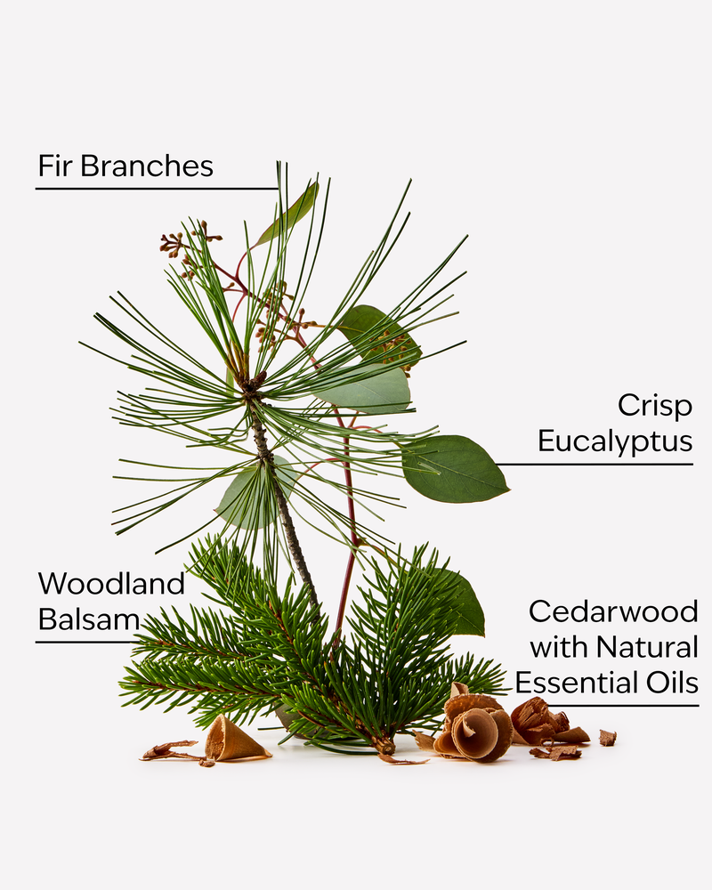 Fresh Balsam 3-Wick Candle 3-Wick Candle