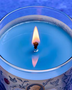 Snow White Single Wick Candle image number null
