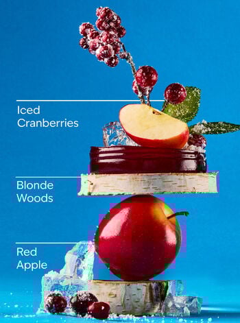 Frosted Cranberry 3-Wick Candle 3-Wick Candle