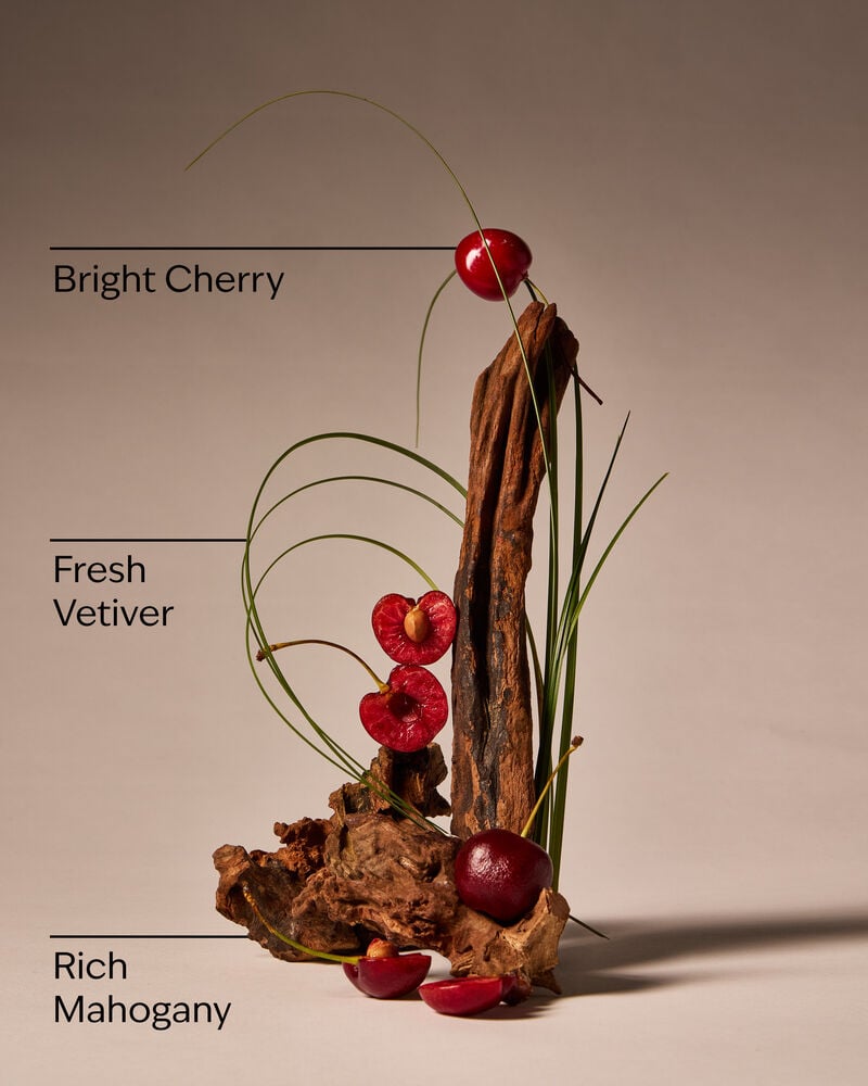 Mahogany Cherry Wallflowers Fragrance Refill Wallflowers Fragrance Refill