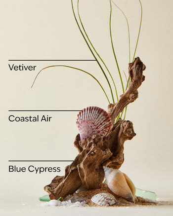 Ocean Body Wash Body Wash