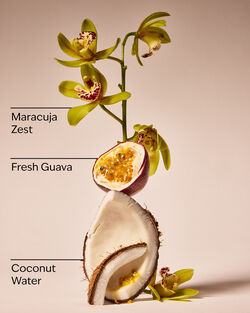 Viva Brazil Fine Fragrance Mist image number null