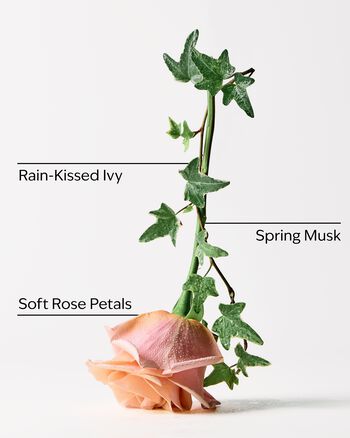 Rose Water & Ivy Gift Box Set Gift Box Set