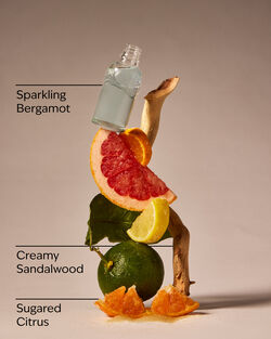 Bergamot Waters Gentle & Clean Foaming Hand Soap image number null