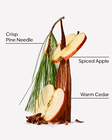 Tree Farm Hand Sanitizer Spray image number null