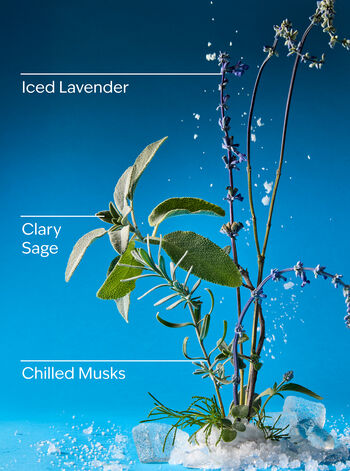 Iced Blue Lavender Gentle & Clean Foaming Hand Soap Gentle & Clean Foaming Hand Soap