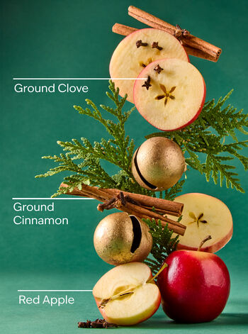 Tis The Season Concentrated Room Spray Concentrated Room Spray