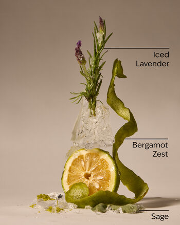 To The Moon Cologne Cologne