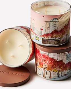The Perfect Autumn 3-Wick Candle image number null