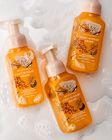 Cozy Sunday Night Gentle & Clean Foaming Hand Soap image number null