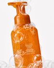 Farmhouse Pumpkin & Spice Gentle & Clean Foaming Hand Soap image number null