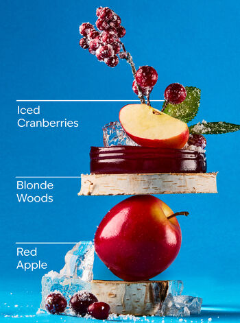 Frosted Cranberry Car Fragrance Refill Car Fragrance Refill