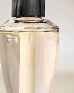 Raspberries & Whipped Vanilla Wallflowers Fragrance Refill image number null
