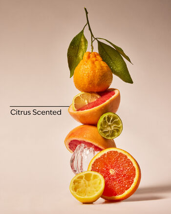 Exfoliating Body Wash Exfoliating Body Wash Travel Size Exfoliating Body Wash