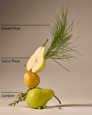 Crisp Morning Air Foaming Hand Soap Gentle Foaming Hand Soap