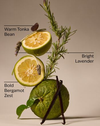 Lavender Bergamot 3-Wick Candle 3-Wick Candle