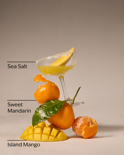 Island Margarita PocketBac Hand Sanitizer image number null