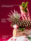 Twisted Peppermint Cleansing Gel Hand Soap image number null