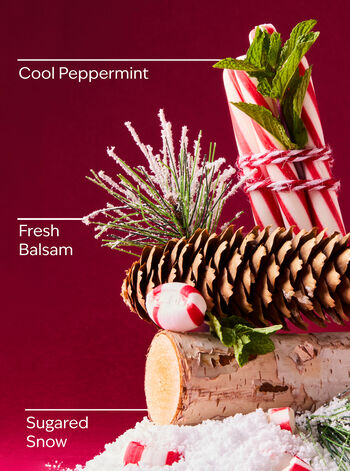 Twisted Peppermint Cleansing Gel Hand Soap Cleansing Gel Hand Soap