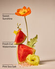 Fresh Watermelon Revitalizing Gel Hand Soap image number null