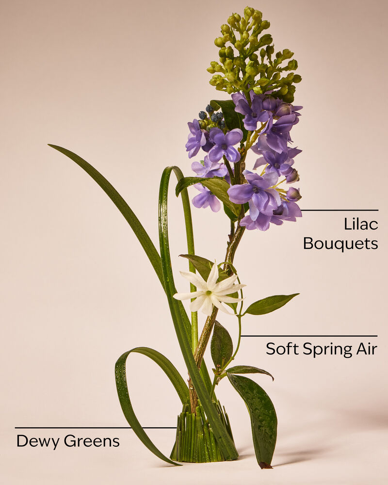 Fresh Cut Lilacs Gel Hand Soap Gentle Gel Hand Soap