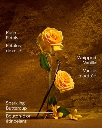 Belle Gentle & Clean Foaming Hand Soap Gentle & Clean Foaming Hand Soap