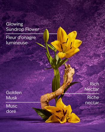 Rapunzel Diamond Shimmer Mist Diamond Shimmer Mist