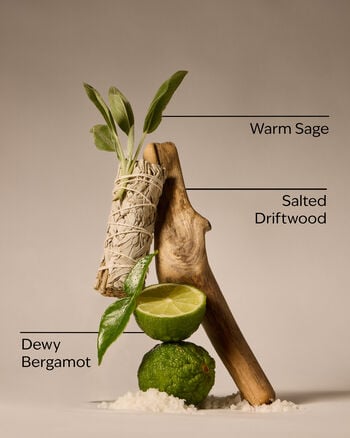 Salted Shorelines Ultimate Hydration Body Cream Ultimate Hydration Body Cream