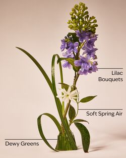 Fresh Cut Lilacs PocketBac Hand Sanitizer image number null