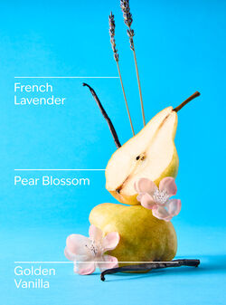 Moonlit Goddess Wallflowers Fragrance Refill image number null