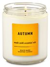 Autumn Single Wick Candle image number null