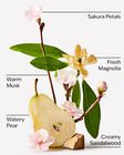 Forever Cherry Blossom Fine Fragrance Mist image number null