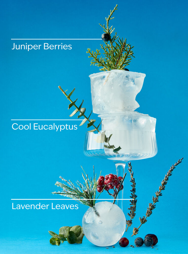 Frozen Lake Car Fragrance Refill Car Fragrance Refill