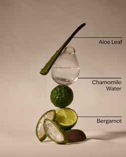 Fresh Rainfall Hand Sanitizer Spray