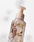 Book Loft Gentle & Clean Foaming Hand Soap image number null