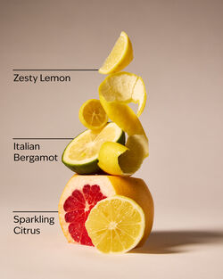 Kitchen Lemon Gentle & Clean Foaming Hand Soap image number null