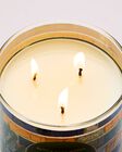 Sweet Kiwi & Starfruit 3-Wick Candle image number null