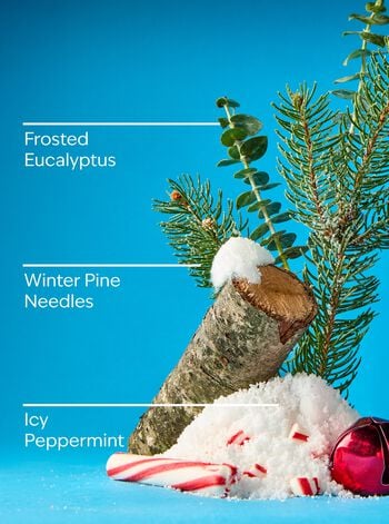 Frosted Forest Gentle & Clean Foaming Hand Soap Gentle & Clean Foaming Hand Soap
