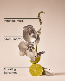 Platinum Fine Fragrance Mist image number null