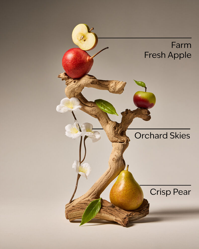 Sweet Apple Gentle Foaming Hand Soap Gentle Foaming Hand Soap