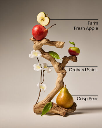 Sweet Apple Gentle Foaming Hand Soap Gentle Foaming Hand Soap