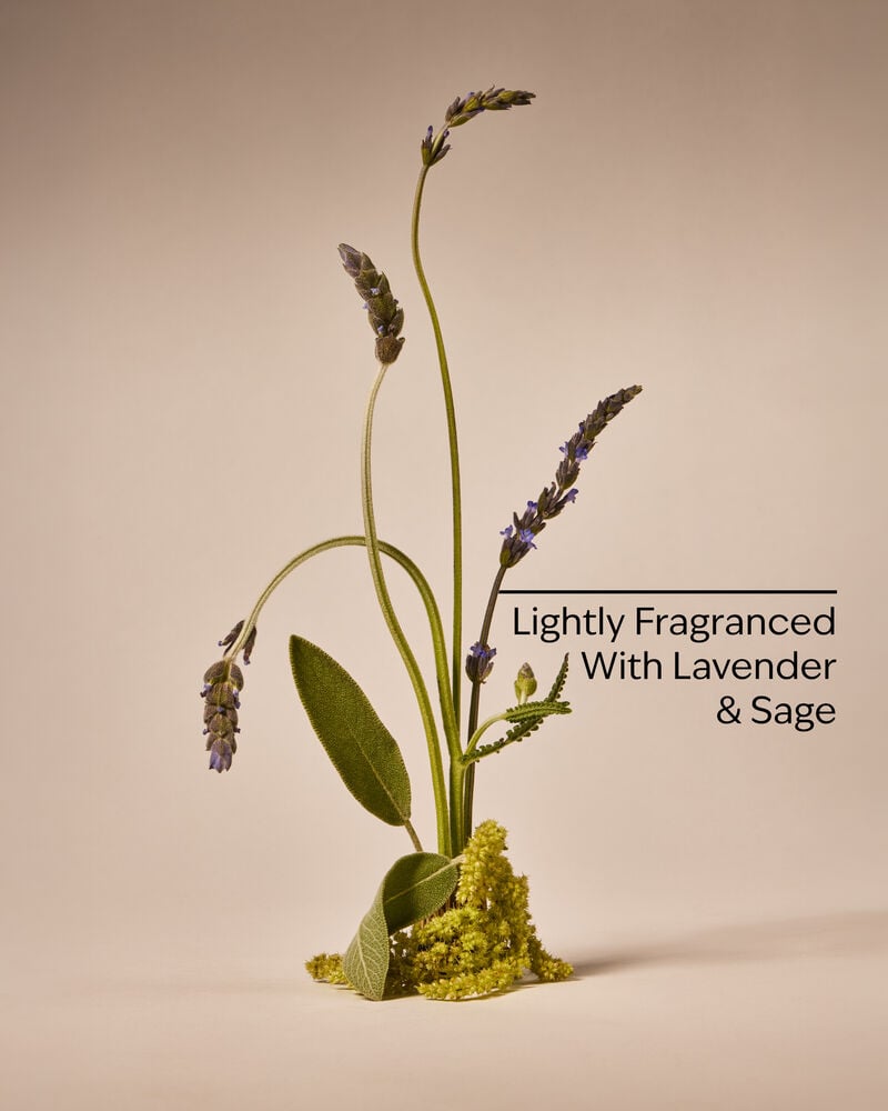 Daily Conditioner With Vitamin B5 + Aloe Conditioner