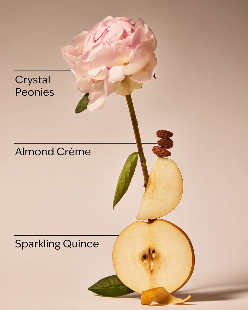 A Thousand Wishes Hand Sanitizer Spray Hand Sanitizer Spray