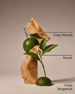 Book Loft Wallflowers Fragrance Refill