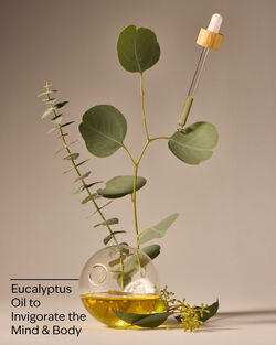 Eucalyptus Body Wash & Foam Bath